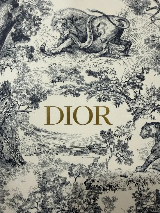 Dior White & Navy Toile Notebook with Gold Logo - Picture 6 of 6